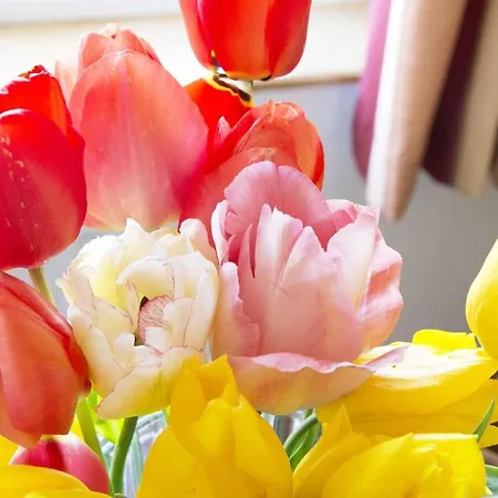 Achill Cliff House & Restaurant Keel (Mayo)