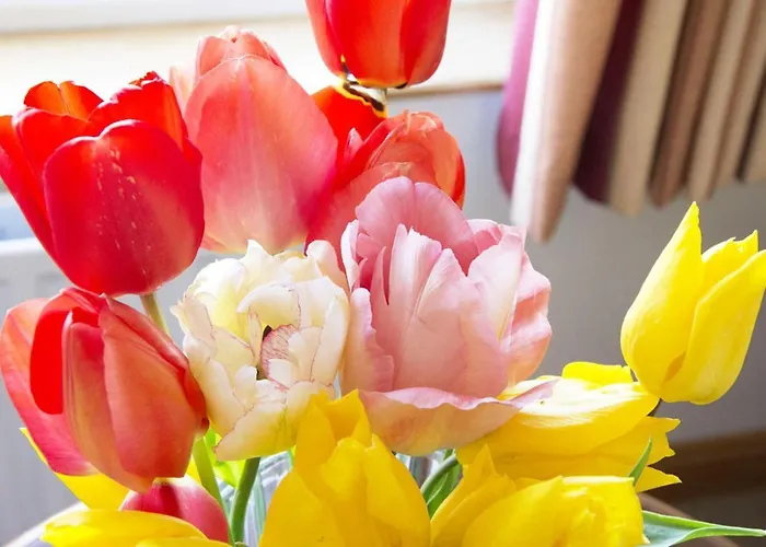 Achill Cliff House & Restaurant Keel (Mayo)