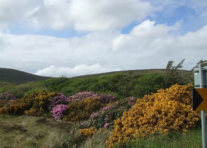 Achill Cliff House & Restaurant 3* 基尔